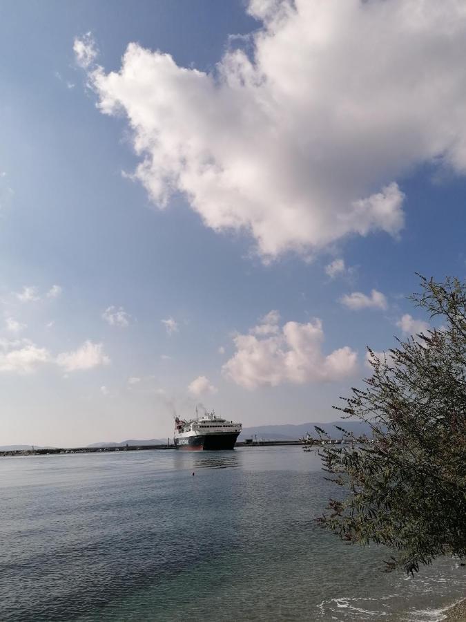 Villa Evmenia Panoramic View & Sea Front Apartments سكوبيلوس تاون المظهر الخارجي الصورة